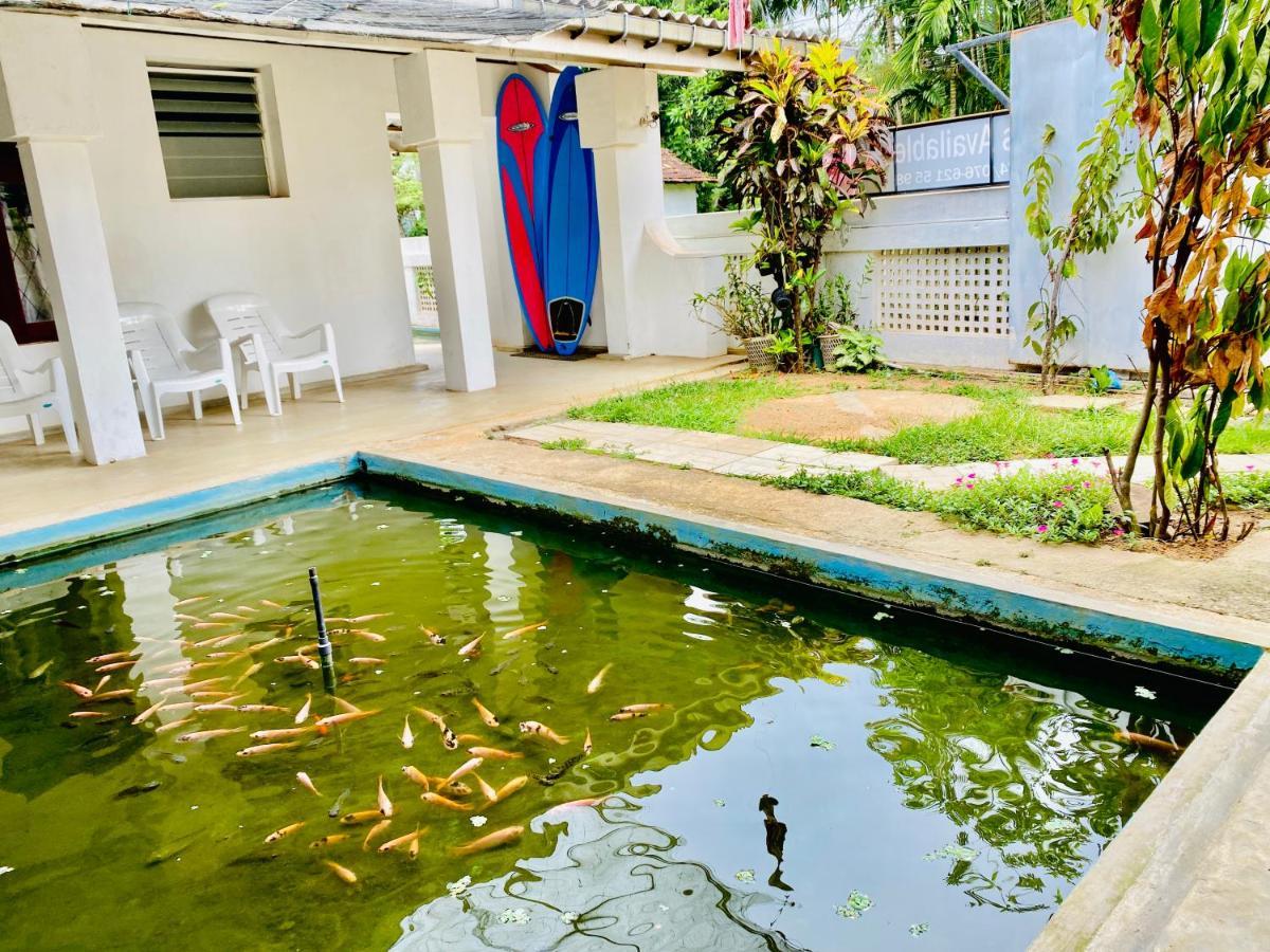 Hiriketiya Orchid Villa Dikwella Dış mekan fotoğraf
